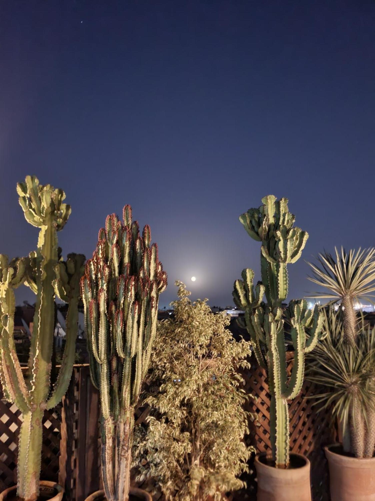 Riad Alma Mouassine Marrakesh Extérieur photo